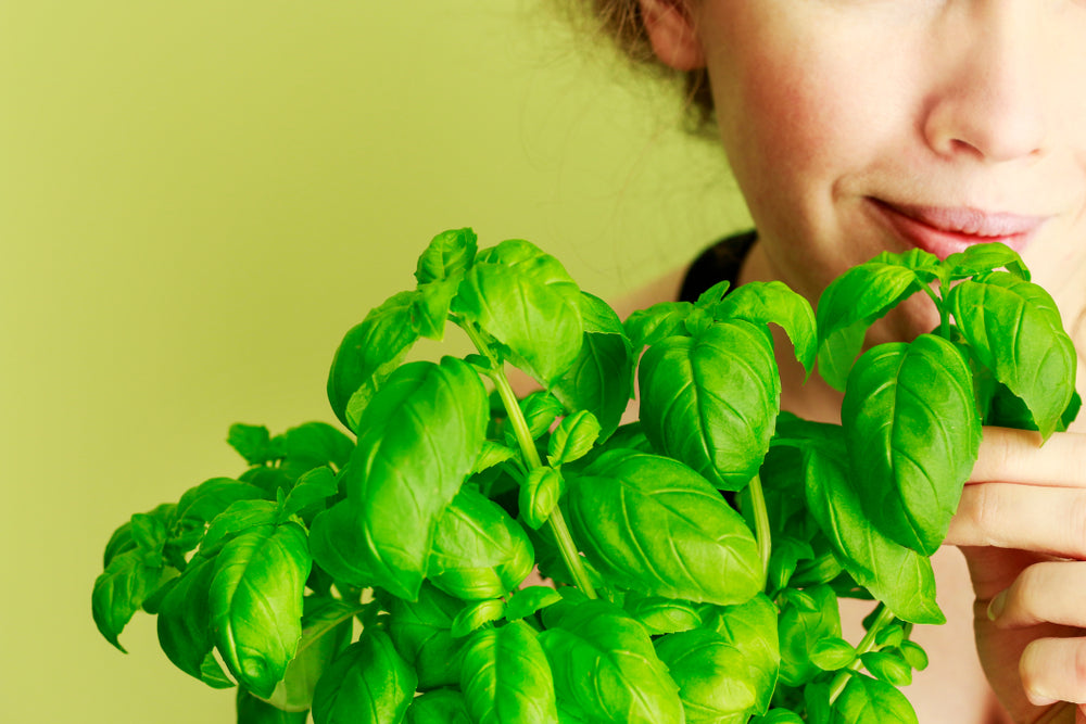Mint Basil Mojito for Acne?